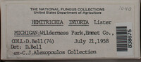 Image Associated With the Occurence